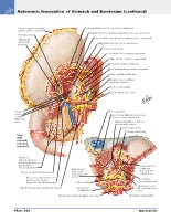 Frank H. Netter, MD - Atlas of Human Anatomy (6th ed ) 2014, page 335
